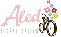 Logo-Aled-head